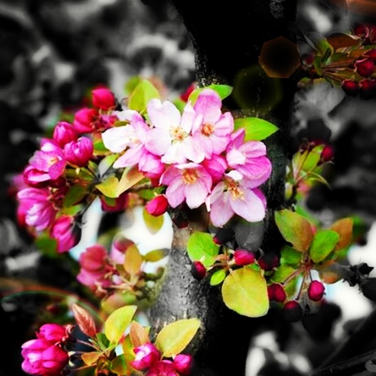 Picsart profile picture for @bosom