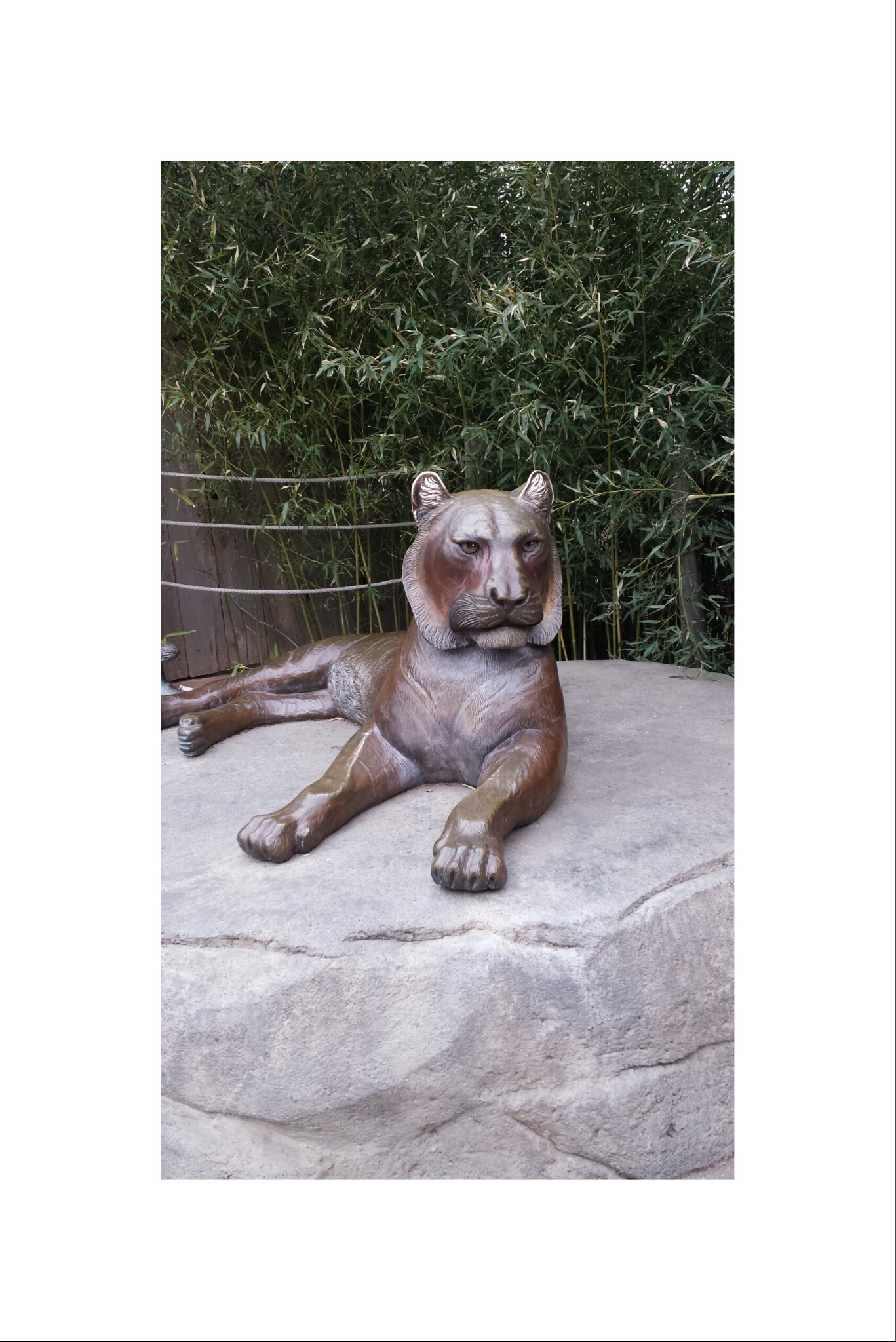 tiger statue tiger statue image by hanaforrester